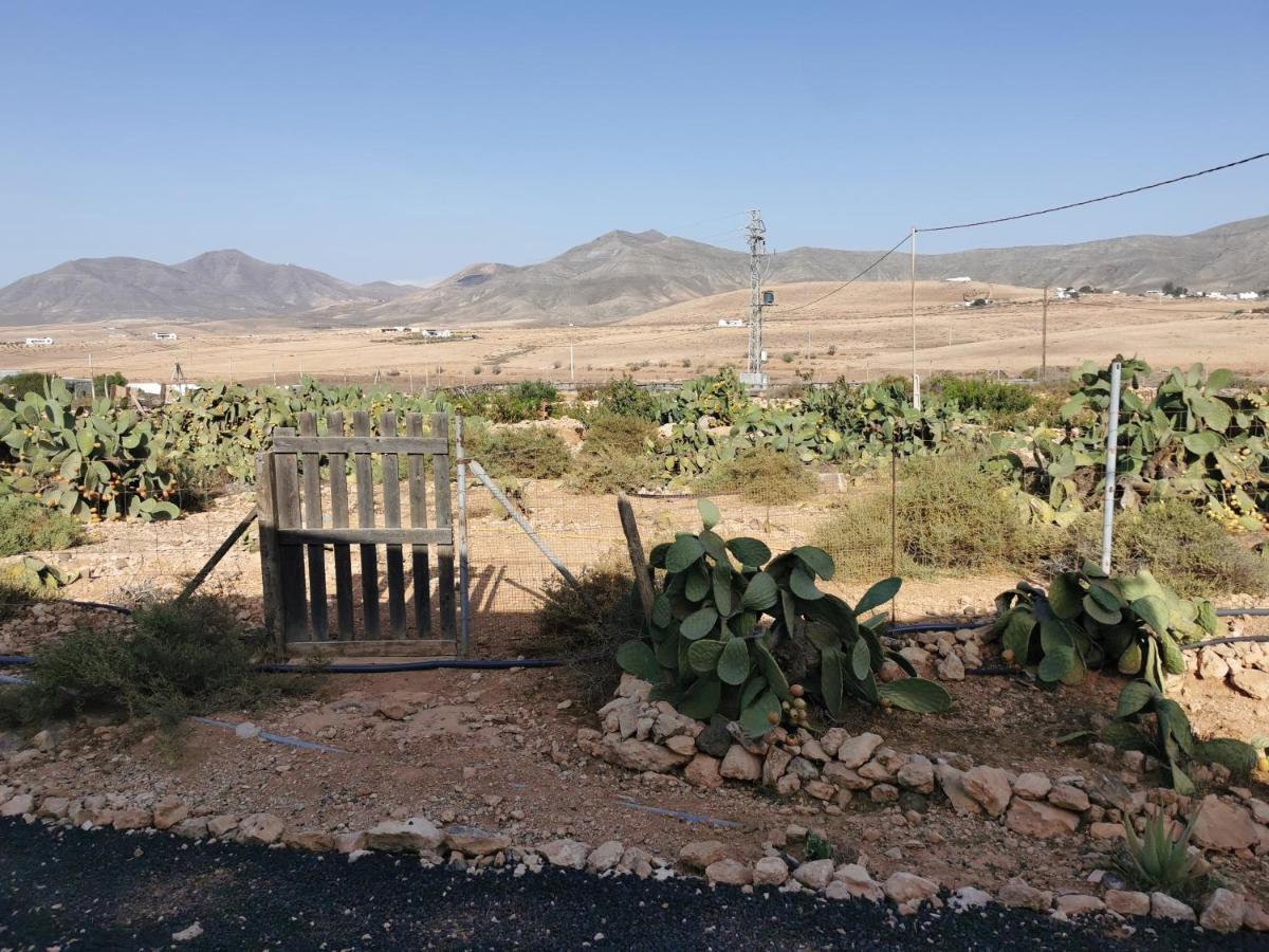 Villa Cecilio Tefía Dış mekan fotoğraf